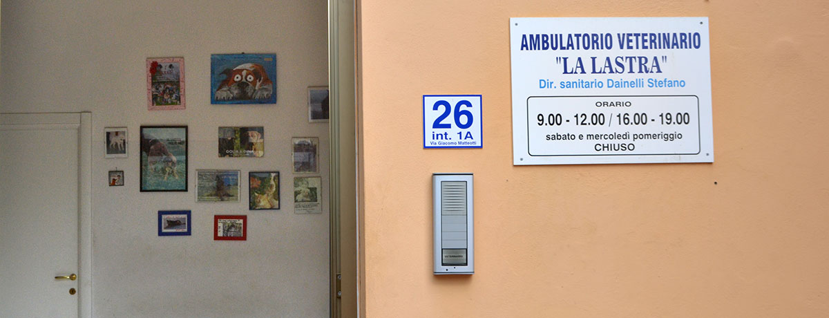 ambulatorio veterinario la lastra